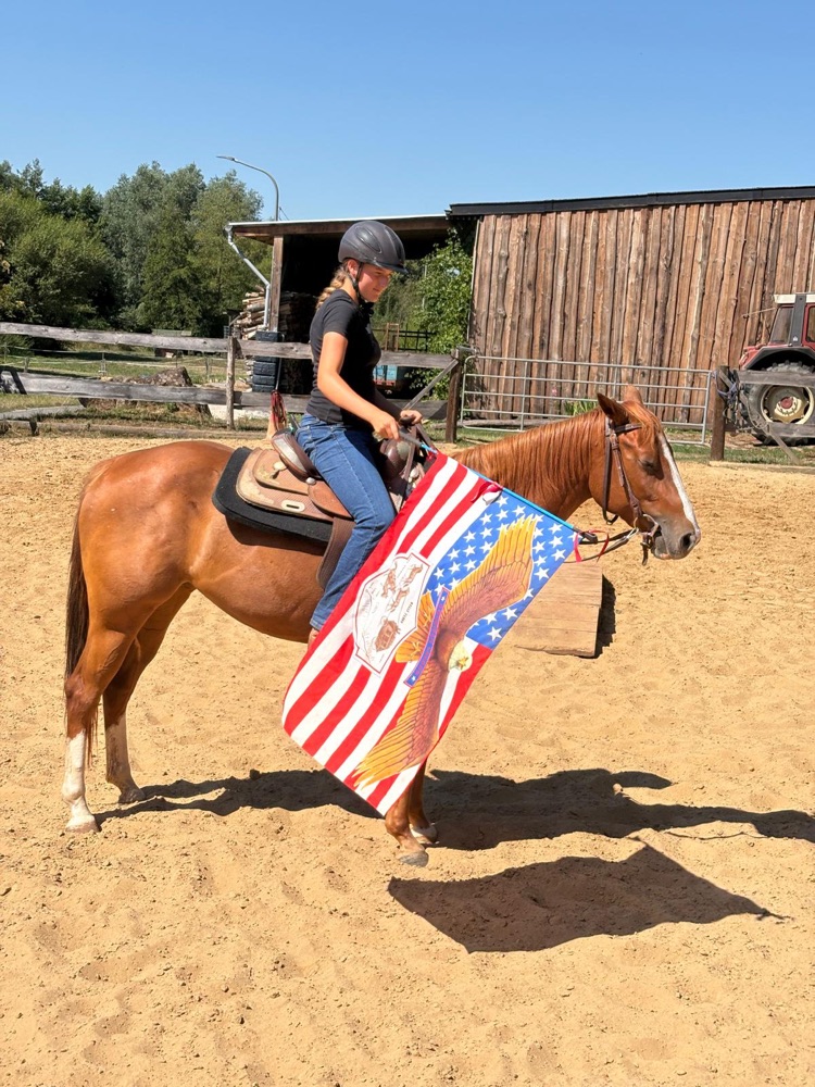 Reiterin mit Flagge auf einem Fuchs auf dem Reitplatz