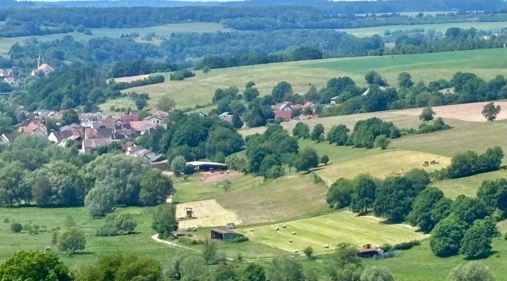 Blick auf Mauschbach und die umliegenden Weiden