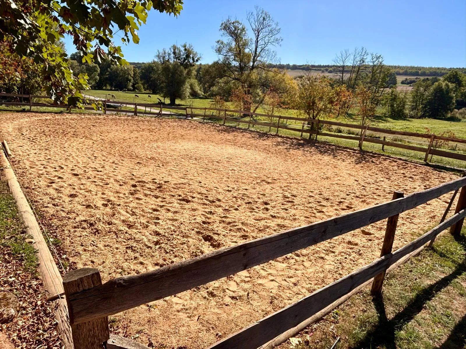 Reitplatz mit Holzzaun und Blick auf die Weiden