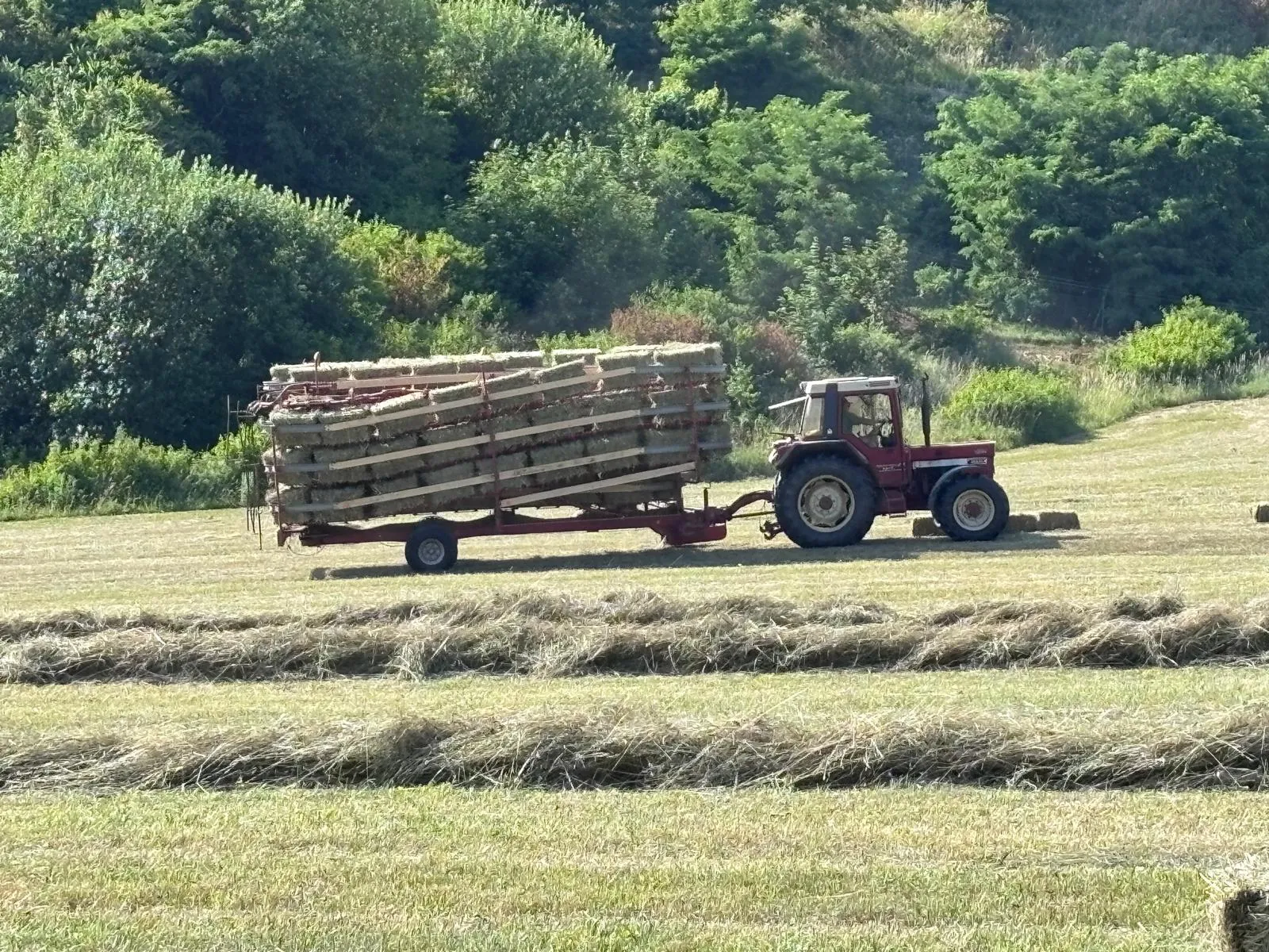Traktor mit voll beladenem Heuballenwagen